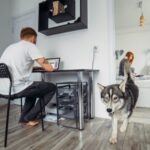 House-sitting, how does it work?