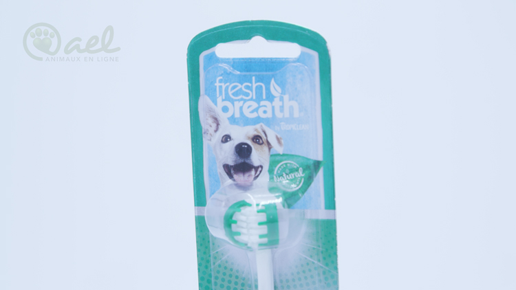 Fresh breath toothbrush 