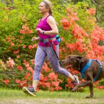 Sport and activities to do with your dog to be active!