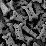Pourquoi choisir des biscuits au charbon pour chien?