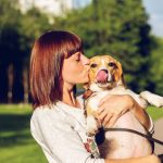 5 misunderstood behavior of dogs