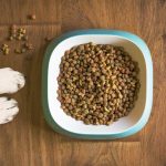 Quelle est la bonne portion de nourriture à donner à mon chien?