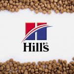 La nourriture Hill's Science Diet pour chien